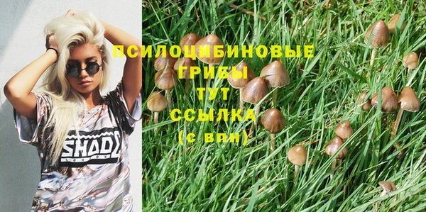 метамфетамин Гусь-Хрустальный