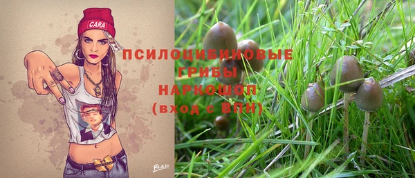 2c-b Гусев