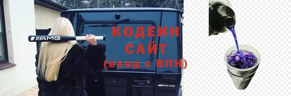 2c-b Гусев