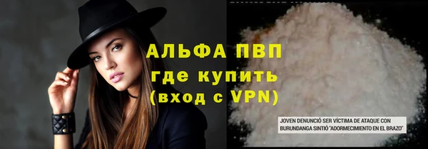 соль ск Бикин