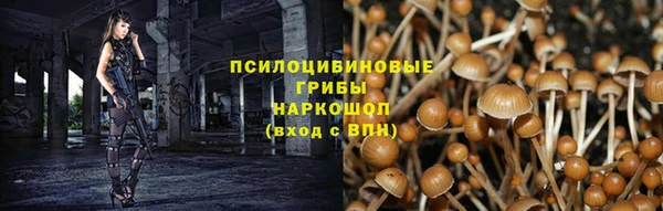 2c-b Гусев