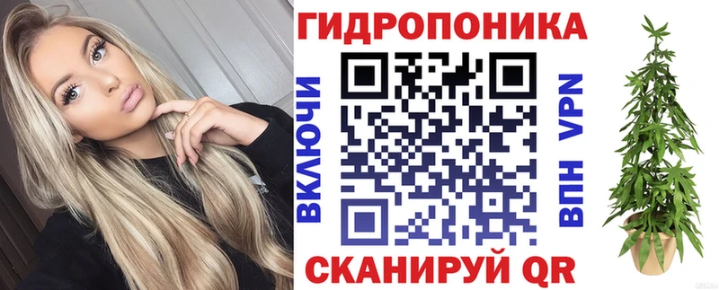 сайты даркнета клад  Железногорск-Илимский  Каннабис AK-47 